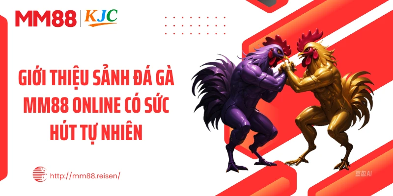 Giới thiệu sảnh đá gà MM88 online có sức hút tự nhiên